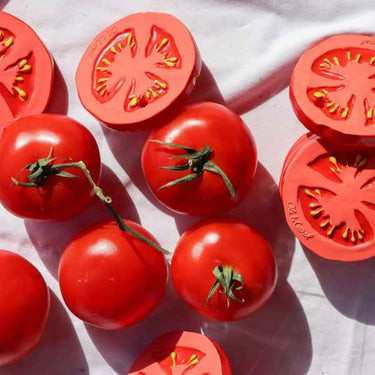 Renato the Tomato